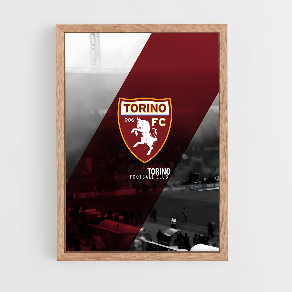 ap-torino fc-3 cadre Bois clair