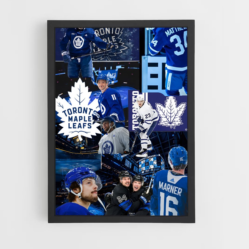 ap-toronto maple leafs-10 cadre Noir