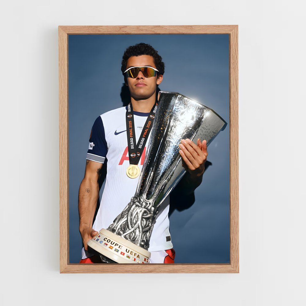 ap-tottenham hotspur fc-9 cadre Bois clair