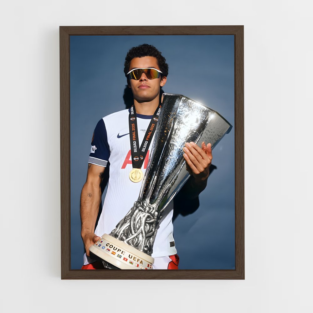 ap-tottenham hotspur fc-9 cadre Bois foncé
