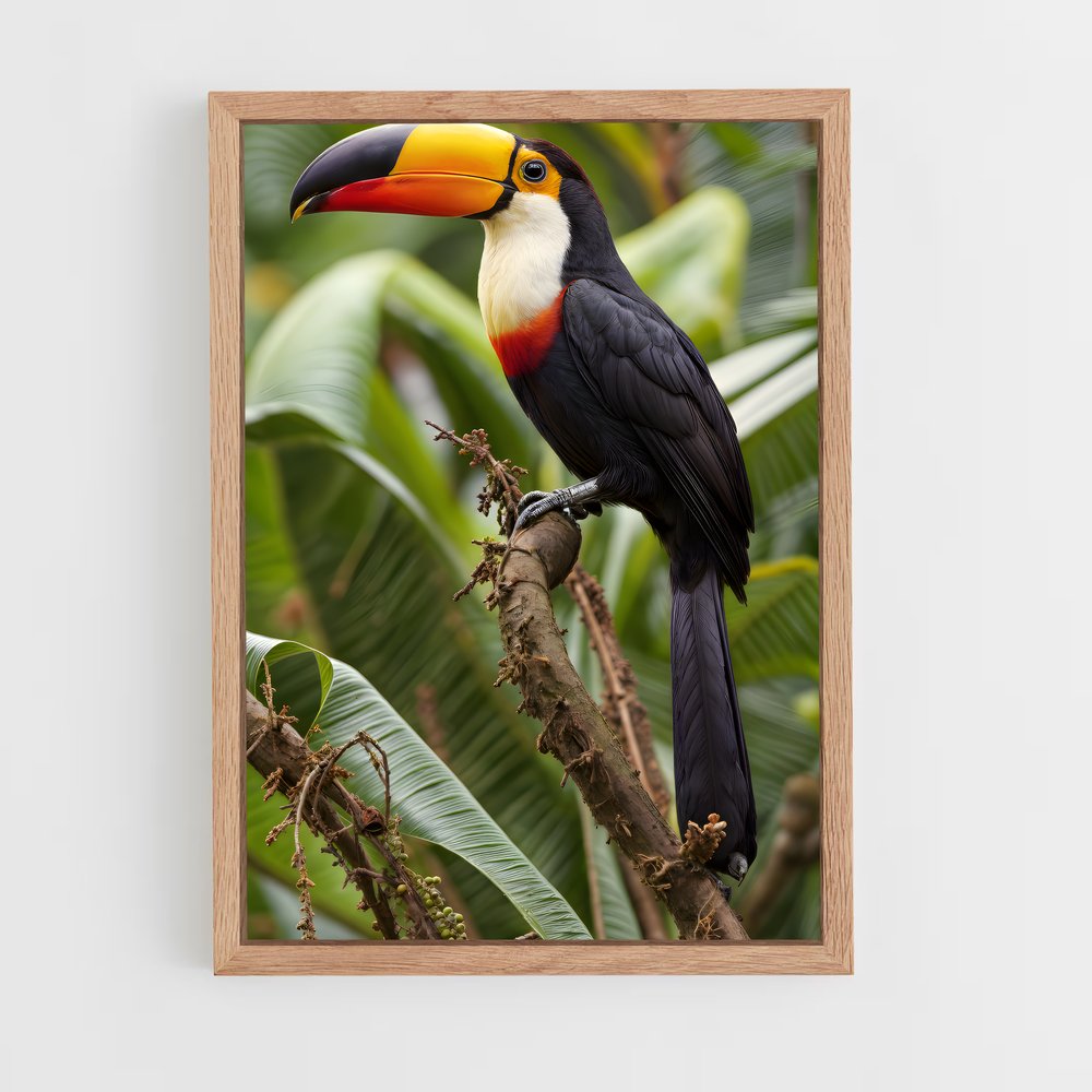 ap-toucan-1 cadre Bois clair