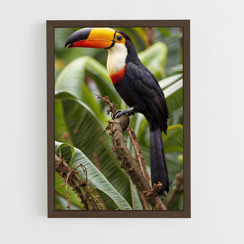 ap-toucan-1 cadre Bois foncé