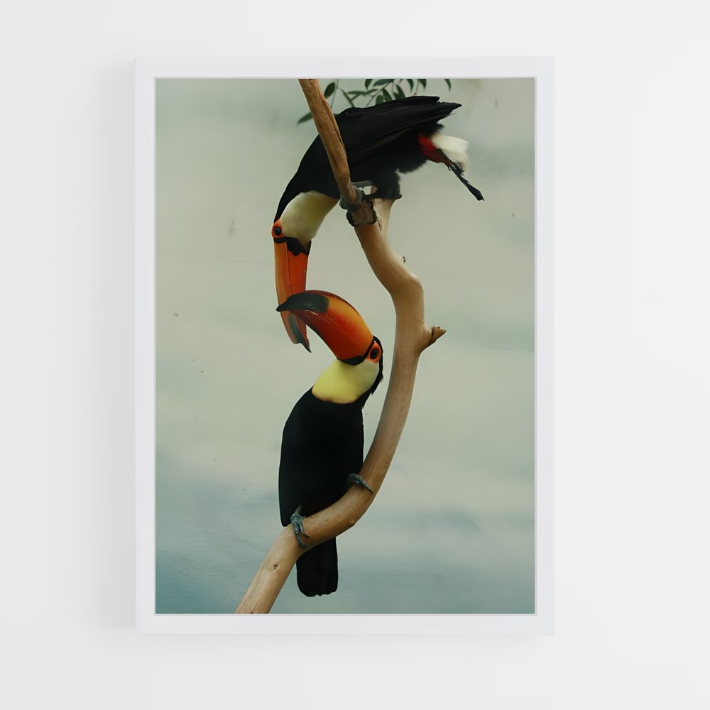 ap-toucan-6 cadre Blanc