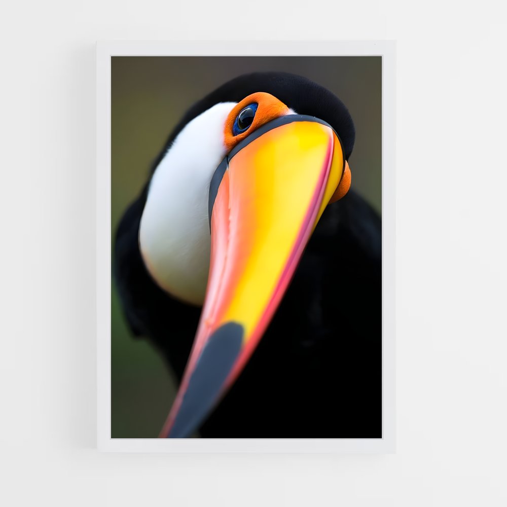 ap-toucan-7 cadre Blanc
