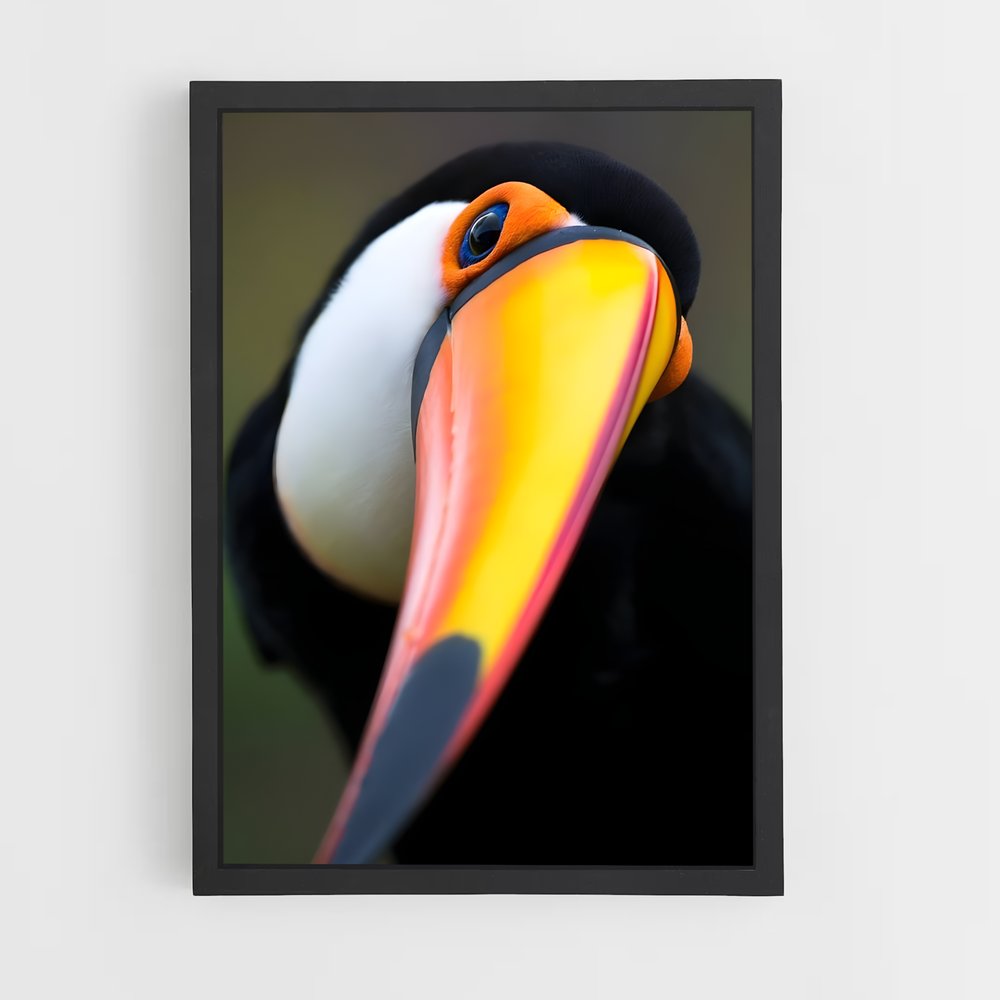 ap-toucan-7 cadre Noir