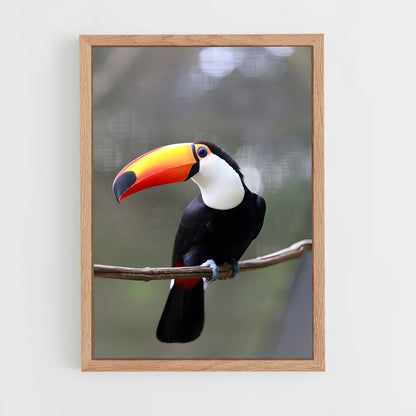 ap-toucan-9 cadre Bois clair