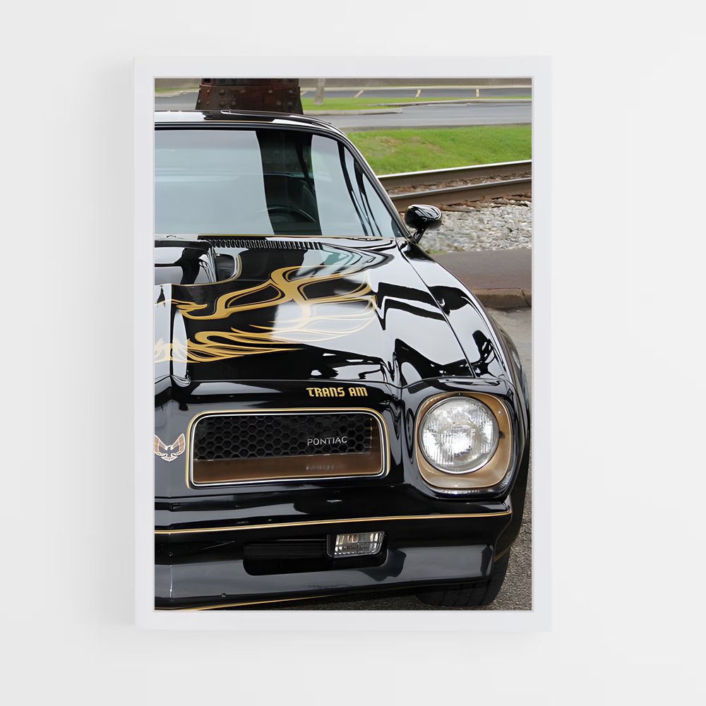 ap-trans am-1 cadre Blanc