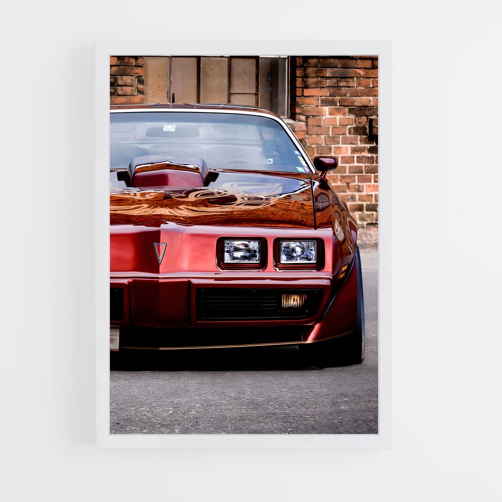 ap-trans am-2 cadre Blanc