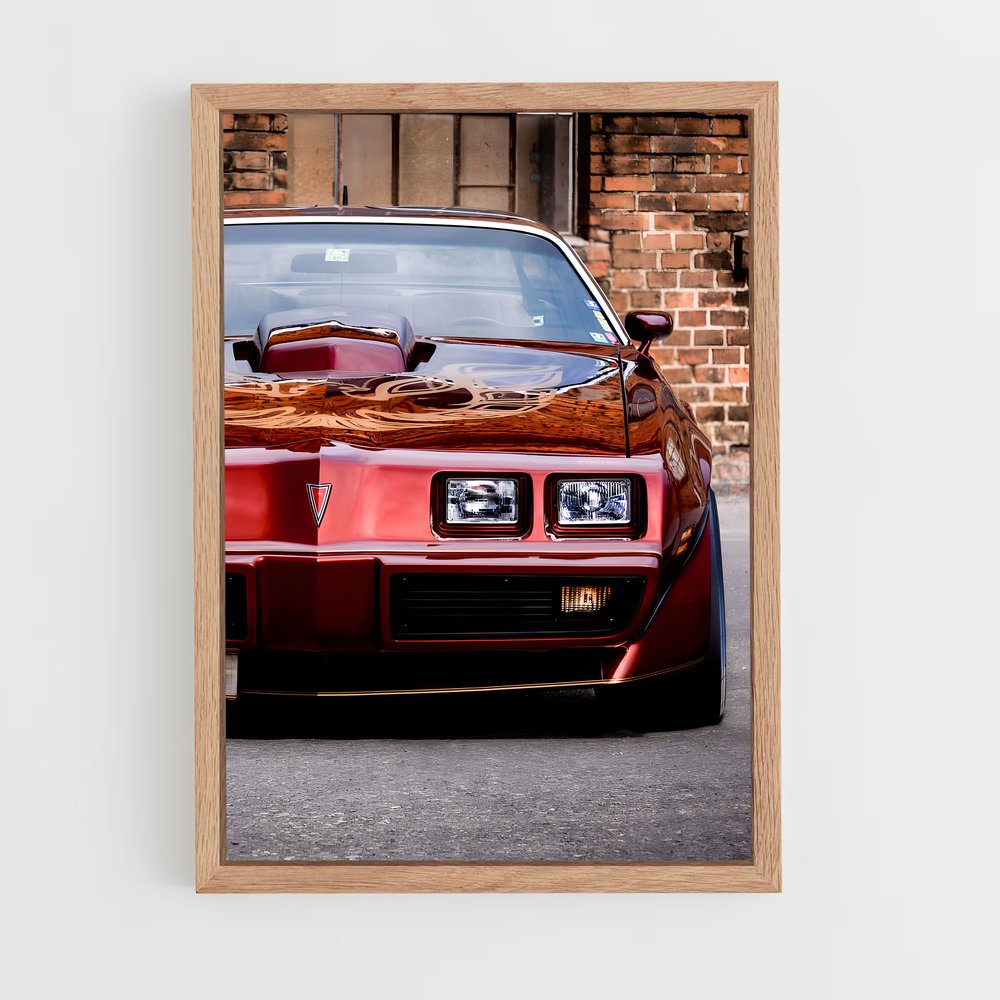 ap-trans am-2 cadre Bois clair