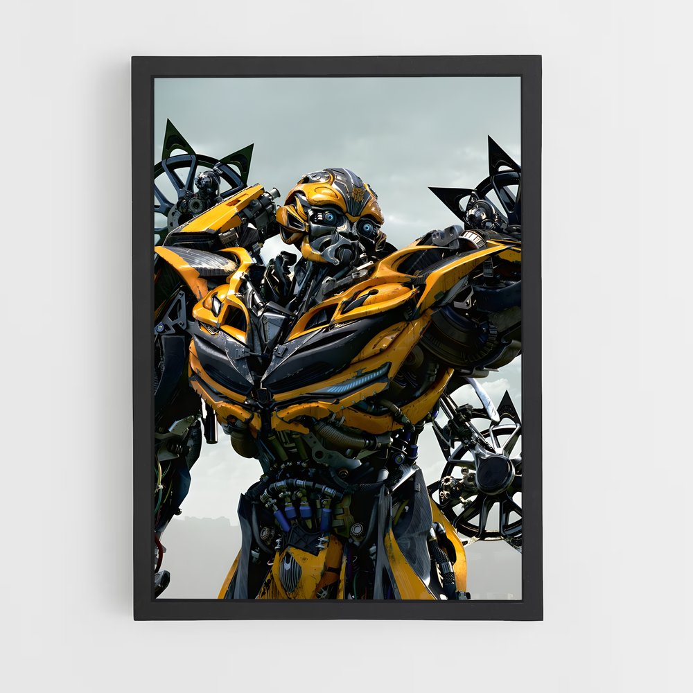 ap-transformers-11 cadre Noir