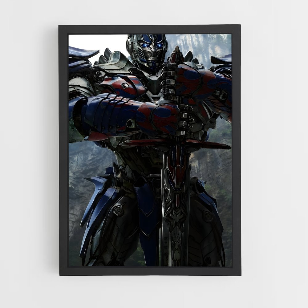 ap-transformers-12 cadre Noir
