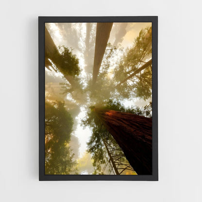 ap-tree canopy-1 cadre Noir