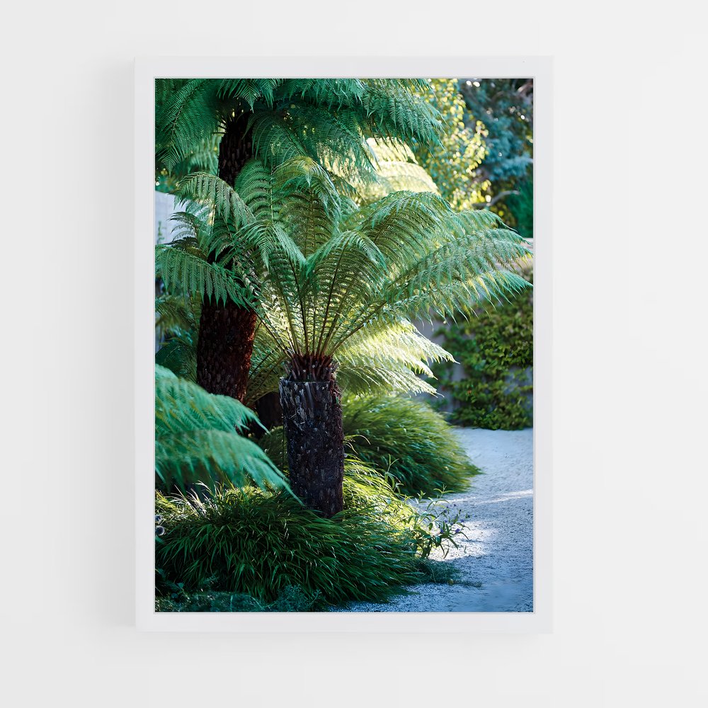 ap-tree fern-1 cadre Blanc