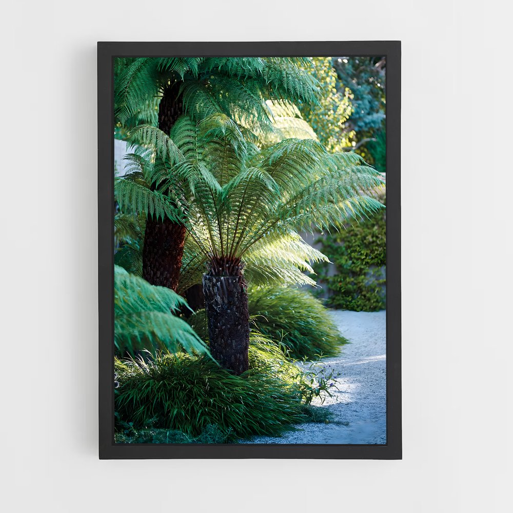 ap-tree fern-1 cadre Noir