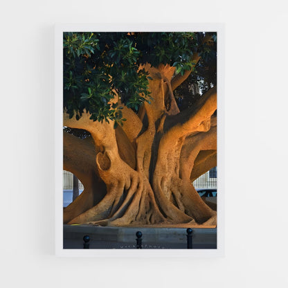 ap-trees-3 cadre Blanc