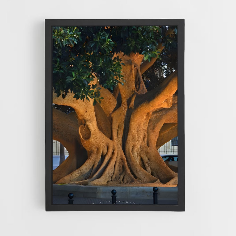 ap-trees-3 cadre Noir