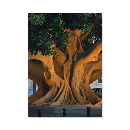 Poster Trees 96895