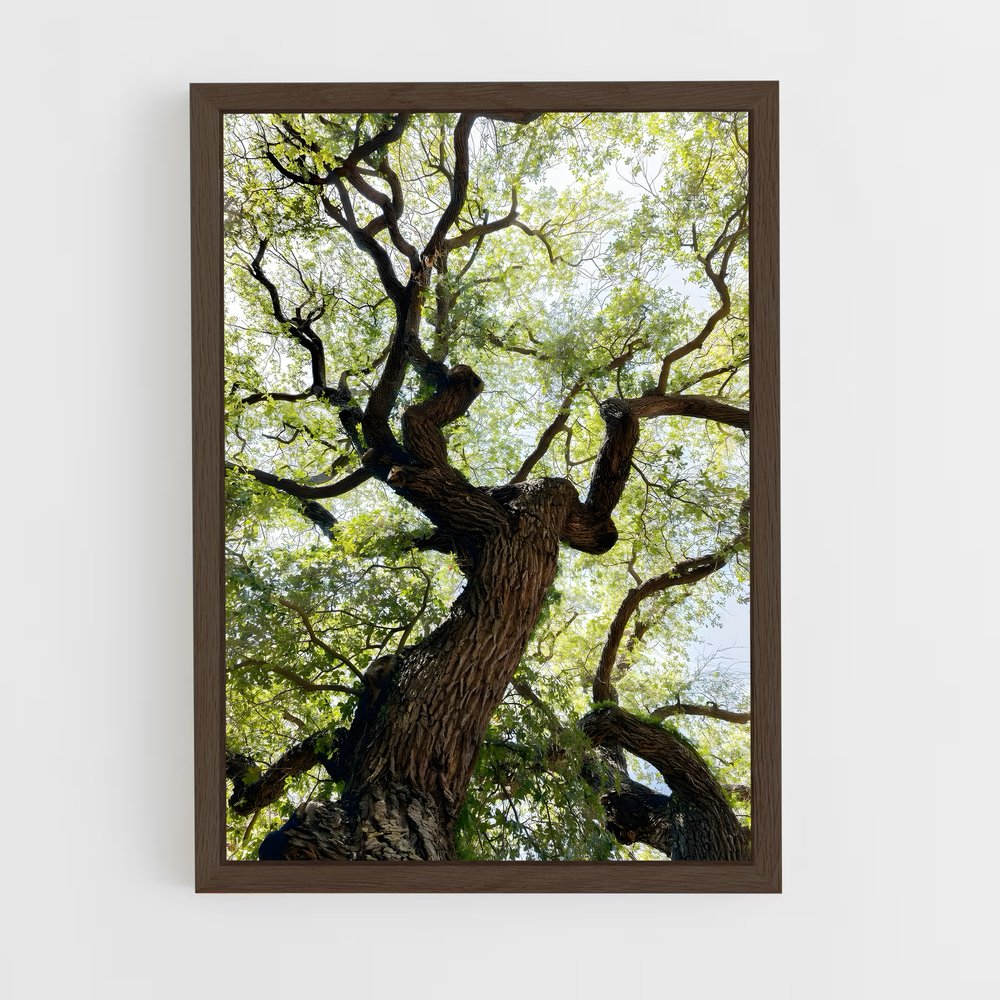 ap-trees-4 cadre Bois foncé