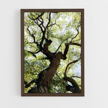 ap-trees-4 cadre Bois foncé