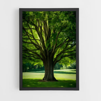 ap-trees-6 cadre Noir
