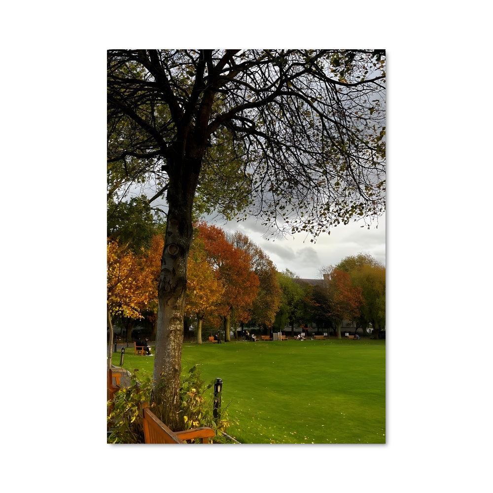 Poster Sous l'Arbre du Trinity