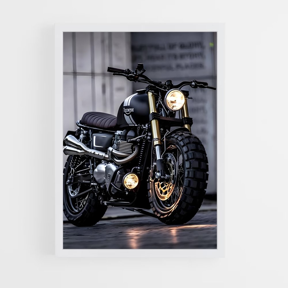 ap-triumph-1 cadre Blanc