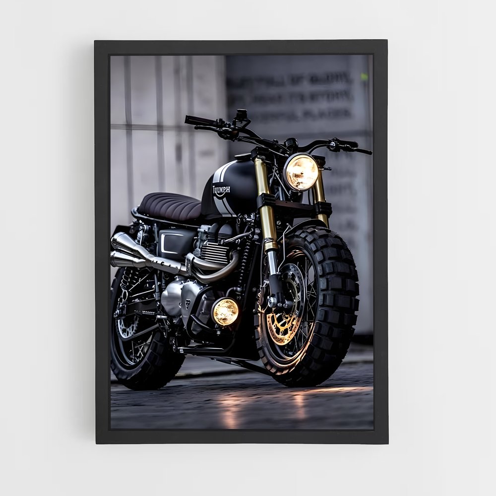 ap-triumph-1 cadre Noir