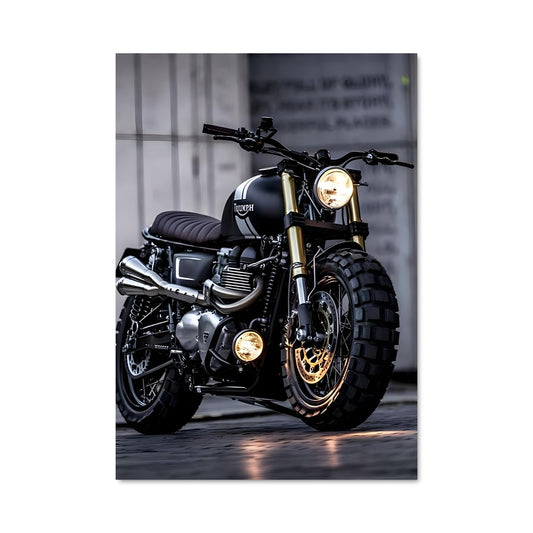 Poster Triumph 82769