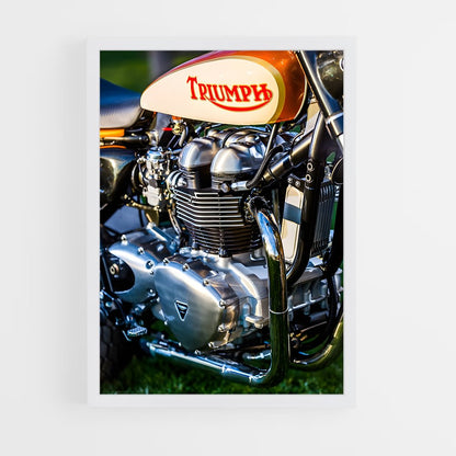 ap-triumph-2 cadre Blanc