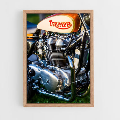 ap-triumph-2 cadre Bois clair