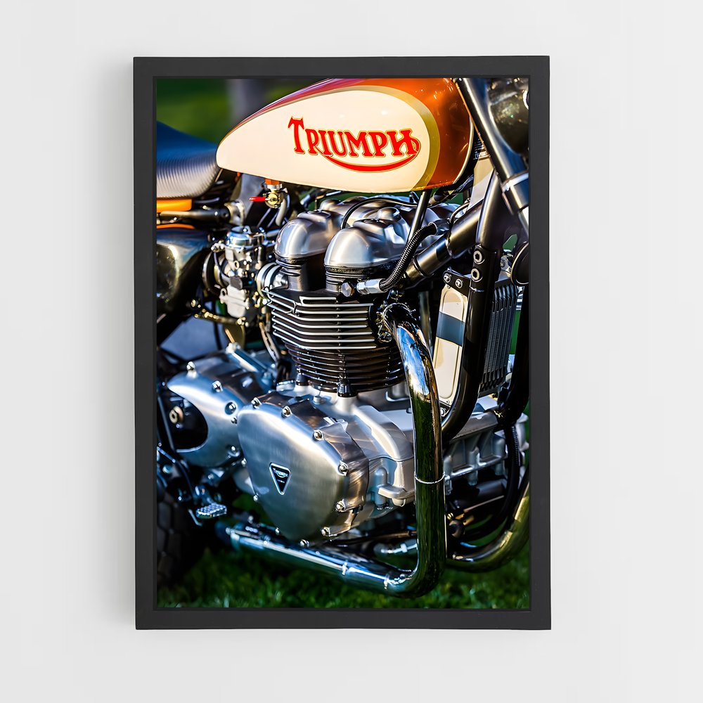 ap-triumph-2 cadre Noir