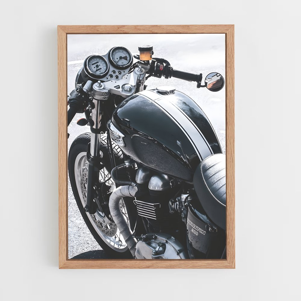 ap-triumph-3 cadre Bois clair