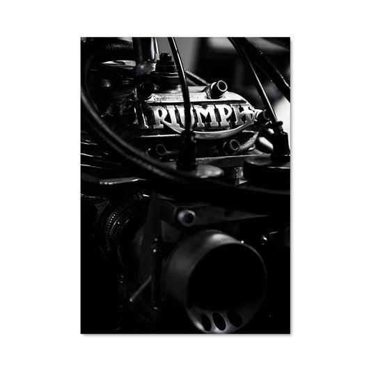 Poster Triumph 82778