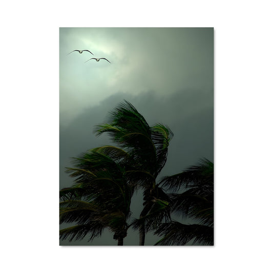 Poster Tropical storm 97791