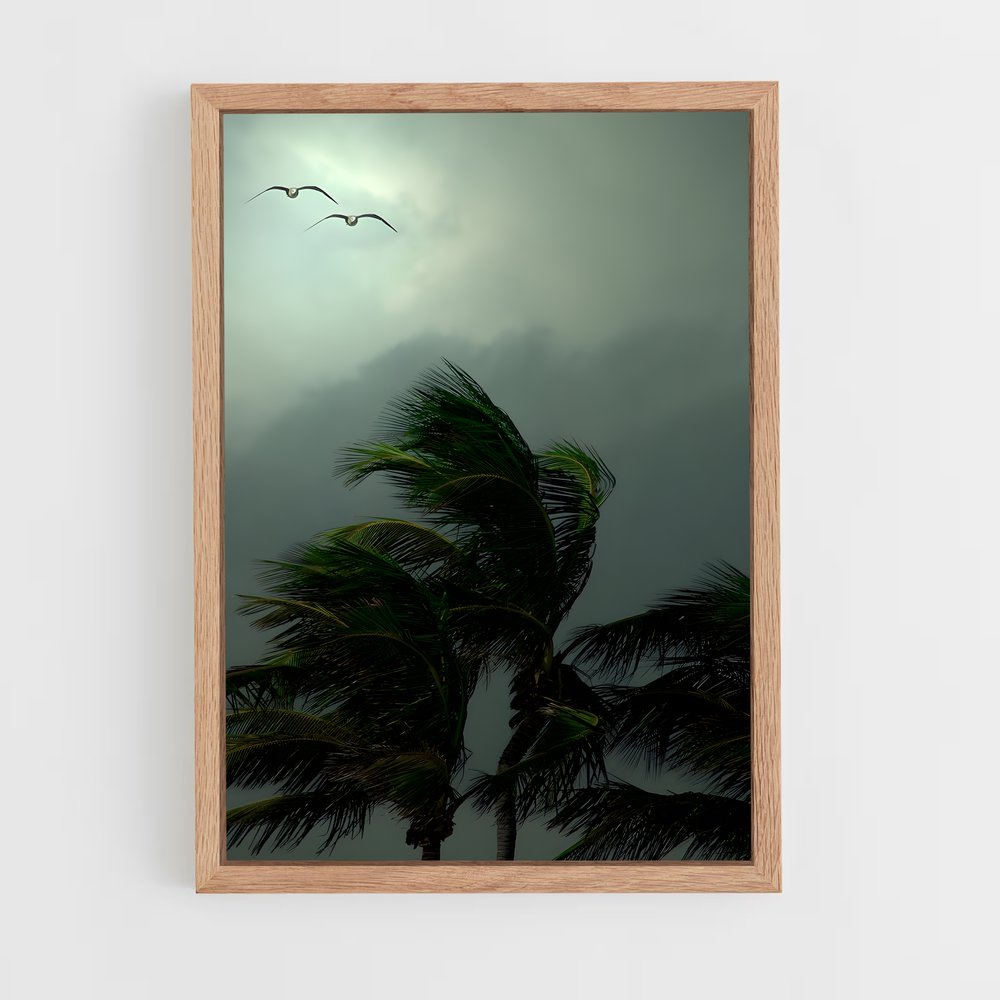 ap-tropical storm-2 cadre Bois clair