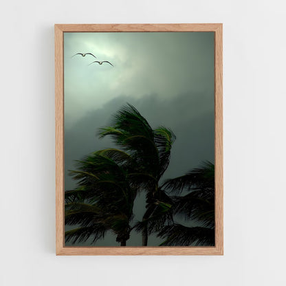 ap-tropical storm-2 cadre Bois clair