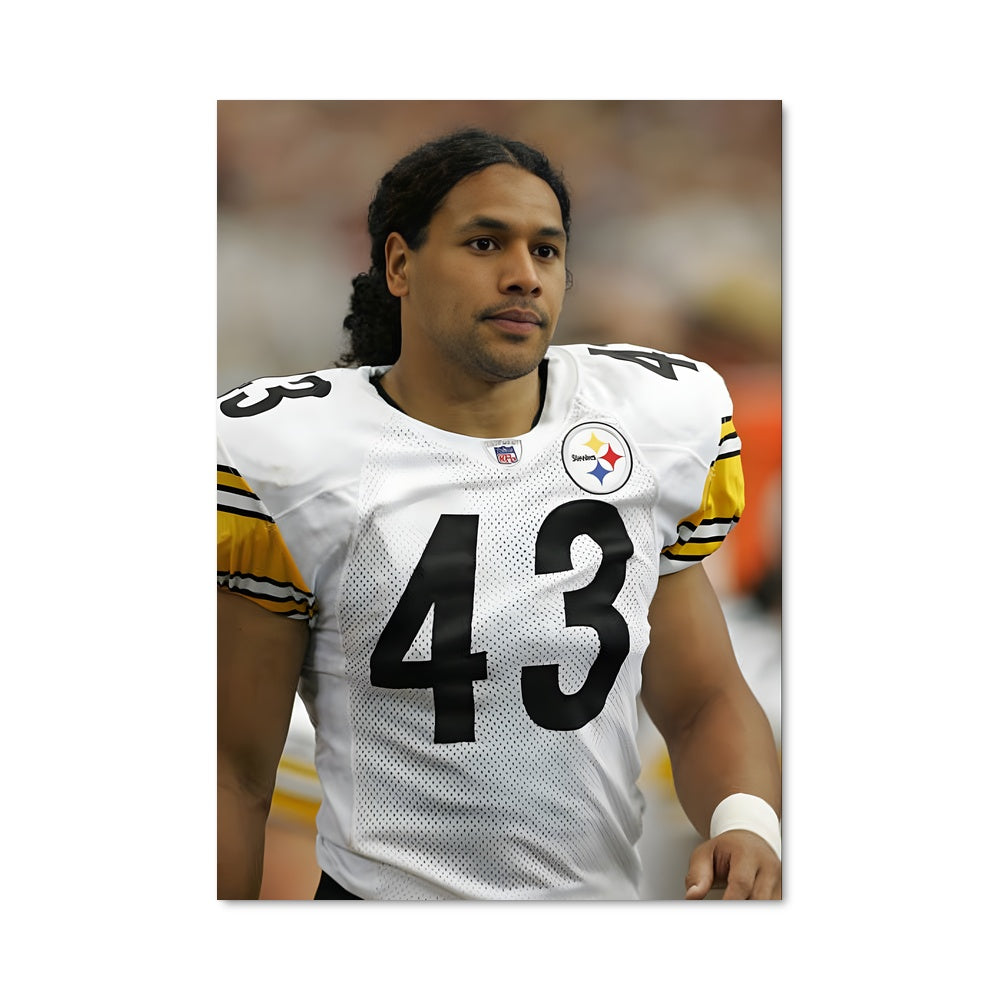 Poster Steel Curtain