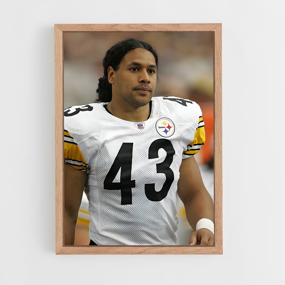 ap-troy polamalu-3 cadre Bois clair