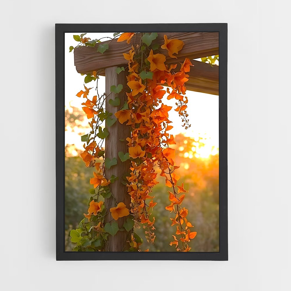 ap-trumpet vine-1 cadre Noir