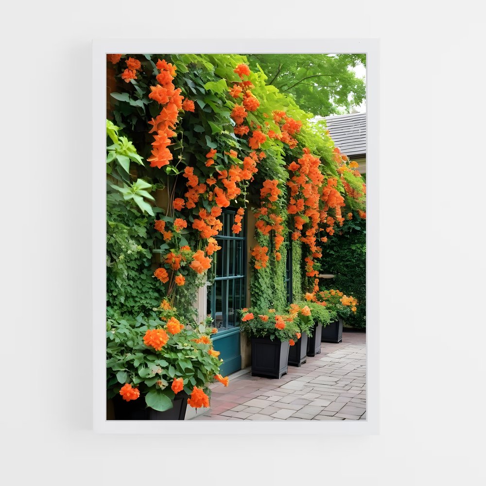 ap-trumpet vine-2 cadre Blanc