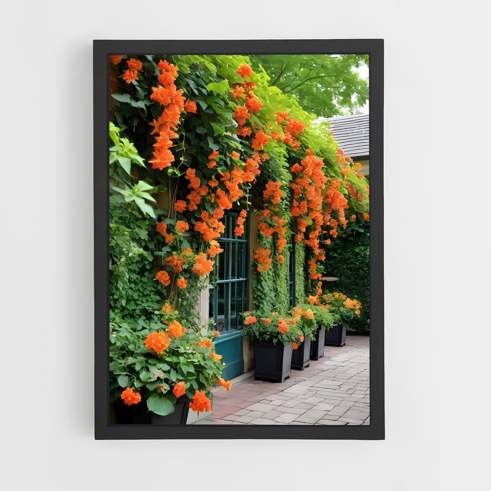 ap-trumpet vine-2 cadre Noir