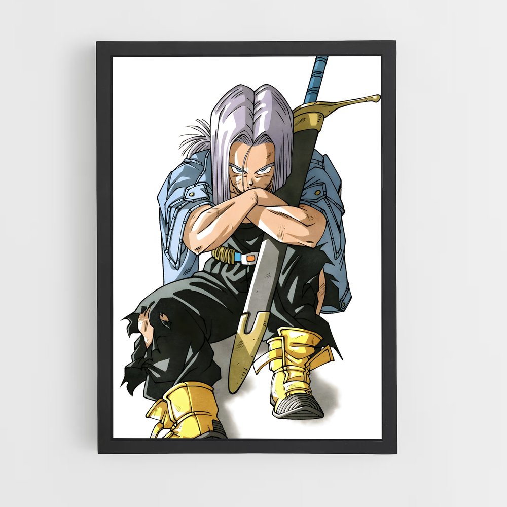 ap-trunks-1 cadre Noir