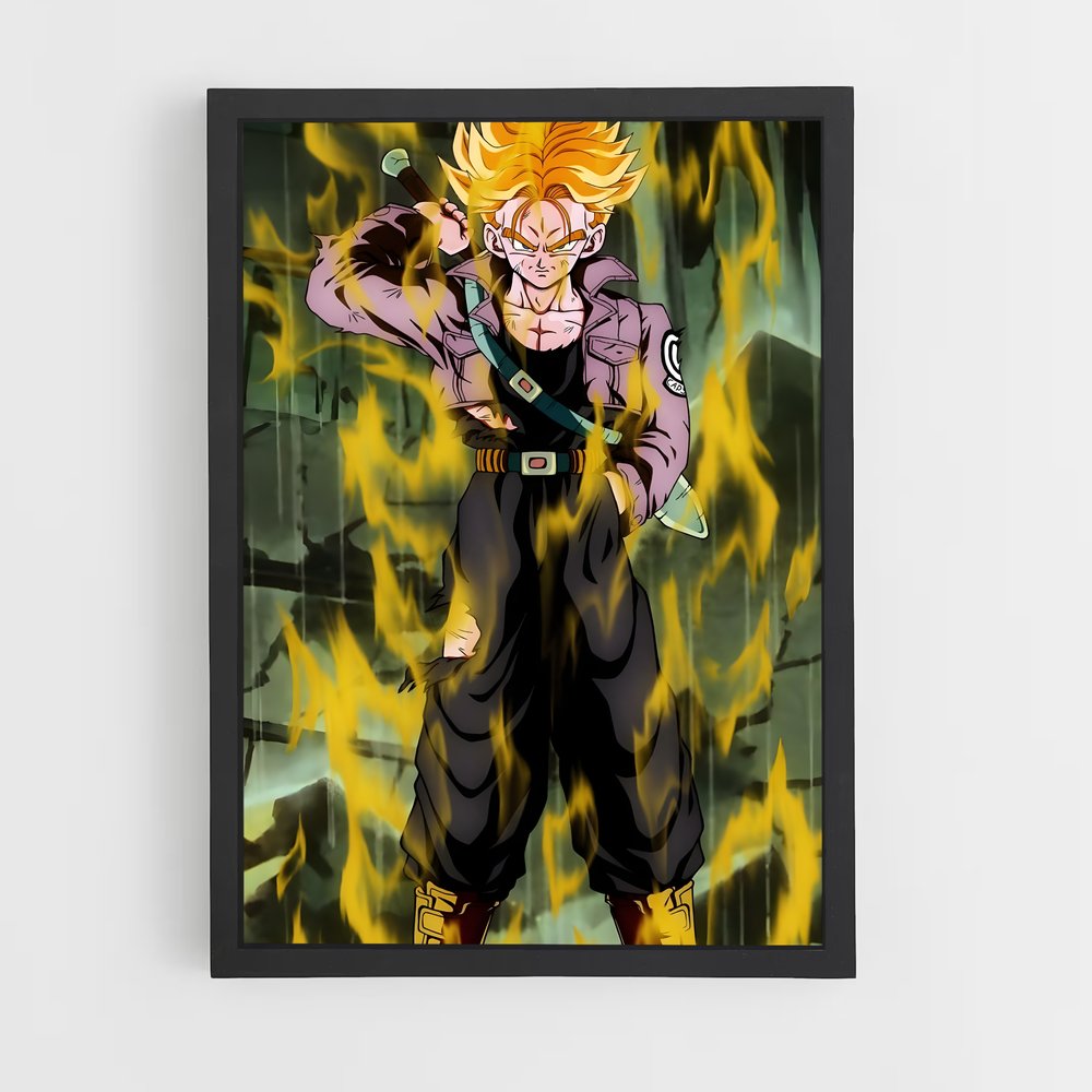 ap-trunks-6 cadre Noir
