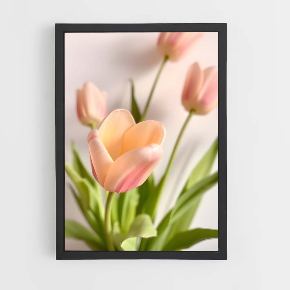 ap-tulip-10 cadre Noir