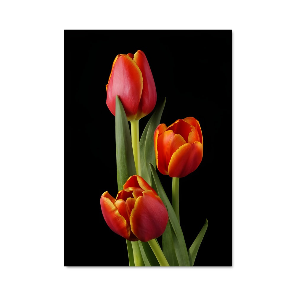 Poster Tulipe Éternelle