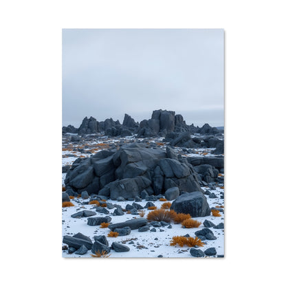 Poster Terre Aride