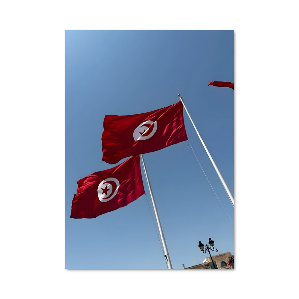 Poster Fierté Tunisienne