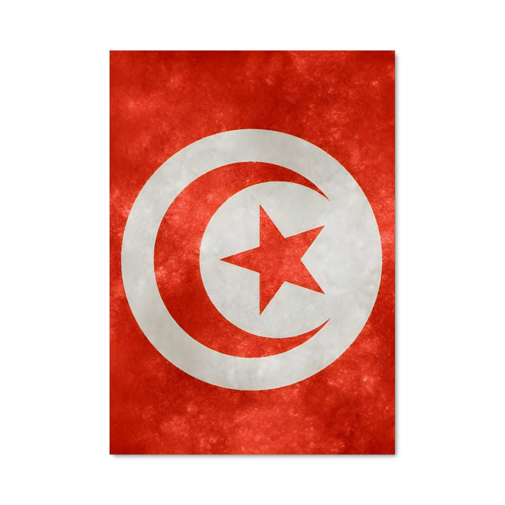 Poster Fierté Carthaginoise