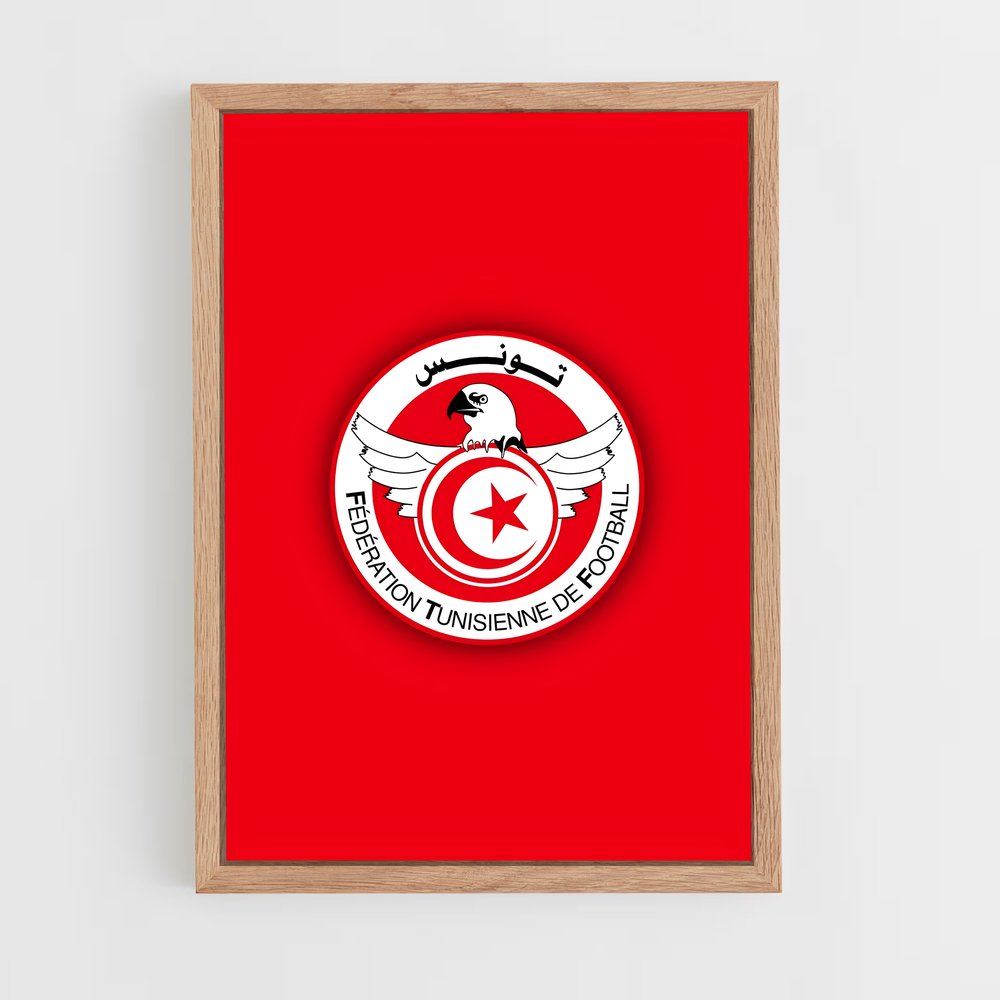 ap-tunisia national football team-1 cadre Bois clair