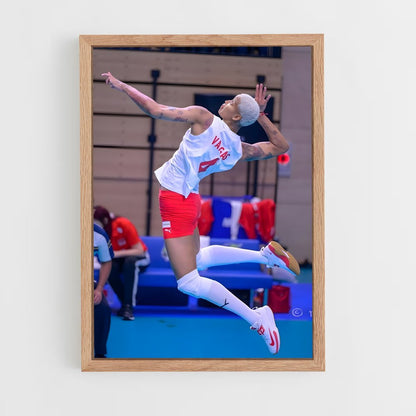 ap-turkey national volleyball team-6 cadre Bois clair
